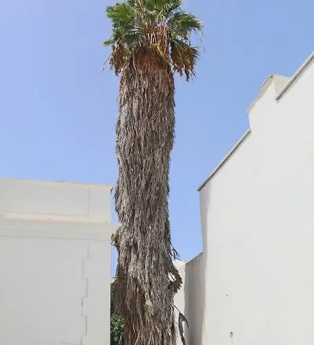 Comfortable In Historic Casa Quesada Shared House *