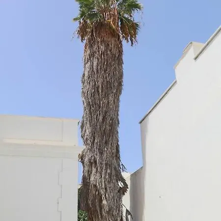 Comfortable In Historic Casa Quesada Shared House *